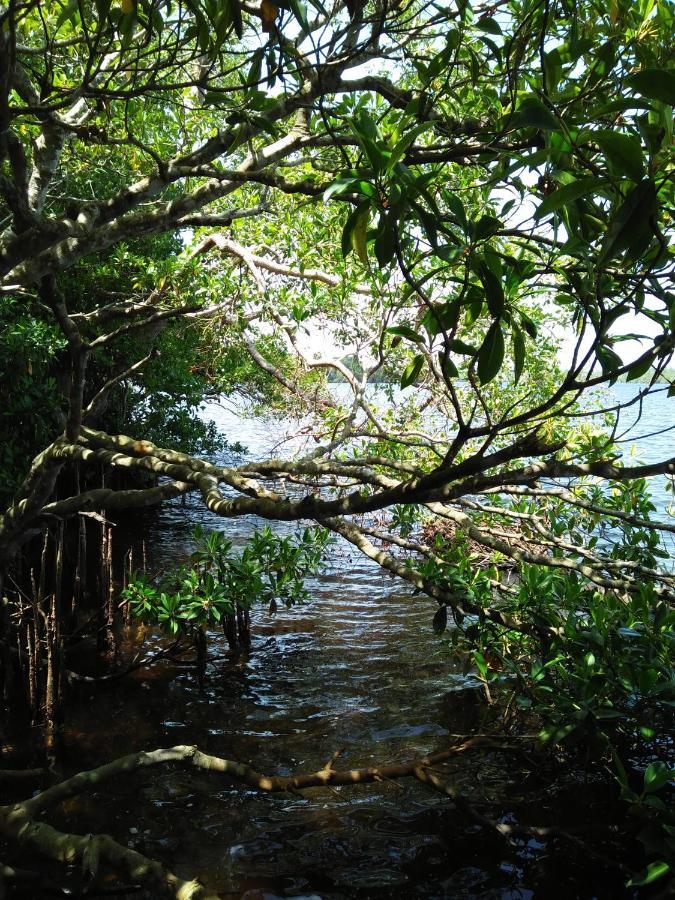 Ananda Villa Bentota Bagian luar foto
